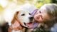 Pet Insurance For Senior Pets